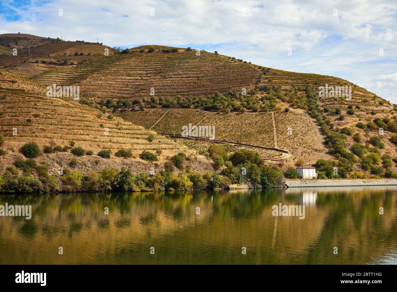 La vallée du Douro, dans le nord du Portugal, est le berceau de Port Wine. La région est connue pour ses vignes, ses amandiers et ses oliviers. Banque D'Images