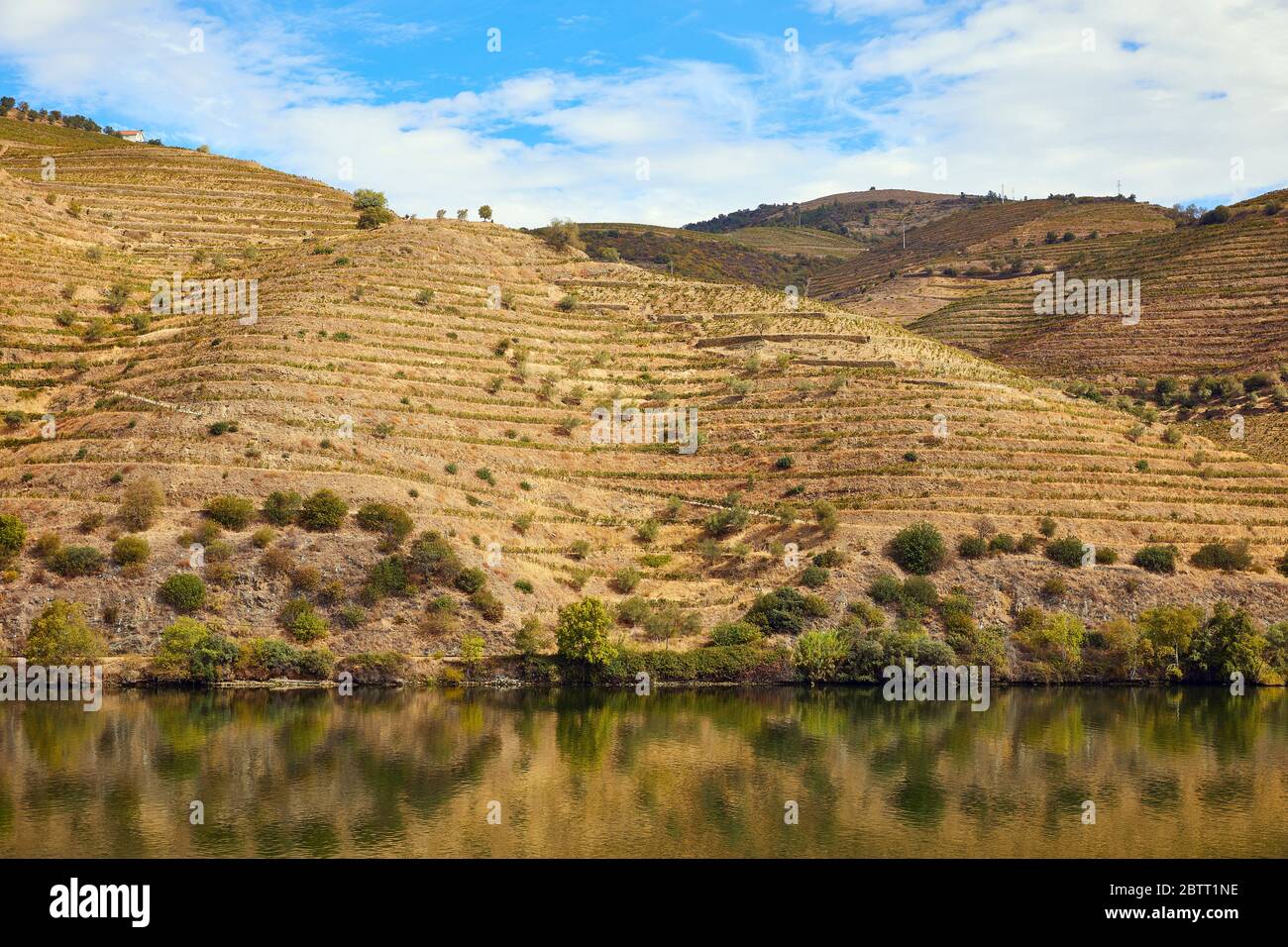 La vallée du Douro, dans le nord du Portugal, est le berceau de Port Wine. La région est connue pour ses vignes, ses amandiers et ses oliviers. Banque D'Images