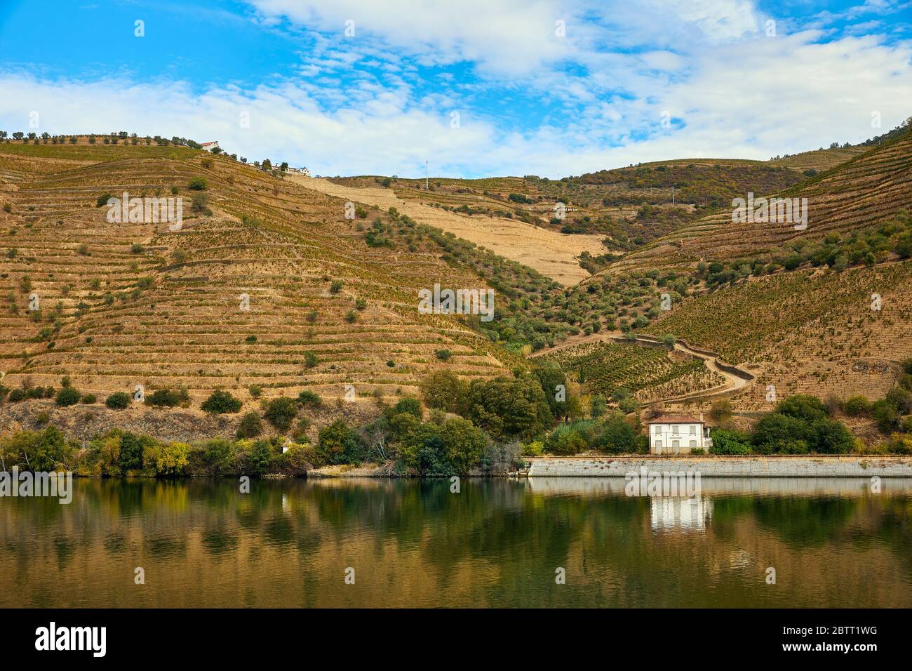 La vallée du Douro, dans le nord du Portugal, est le berceau de Port Wine. La région est connue pour ses vignes, ses amandiers et ses oliviers. Banque D'Images