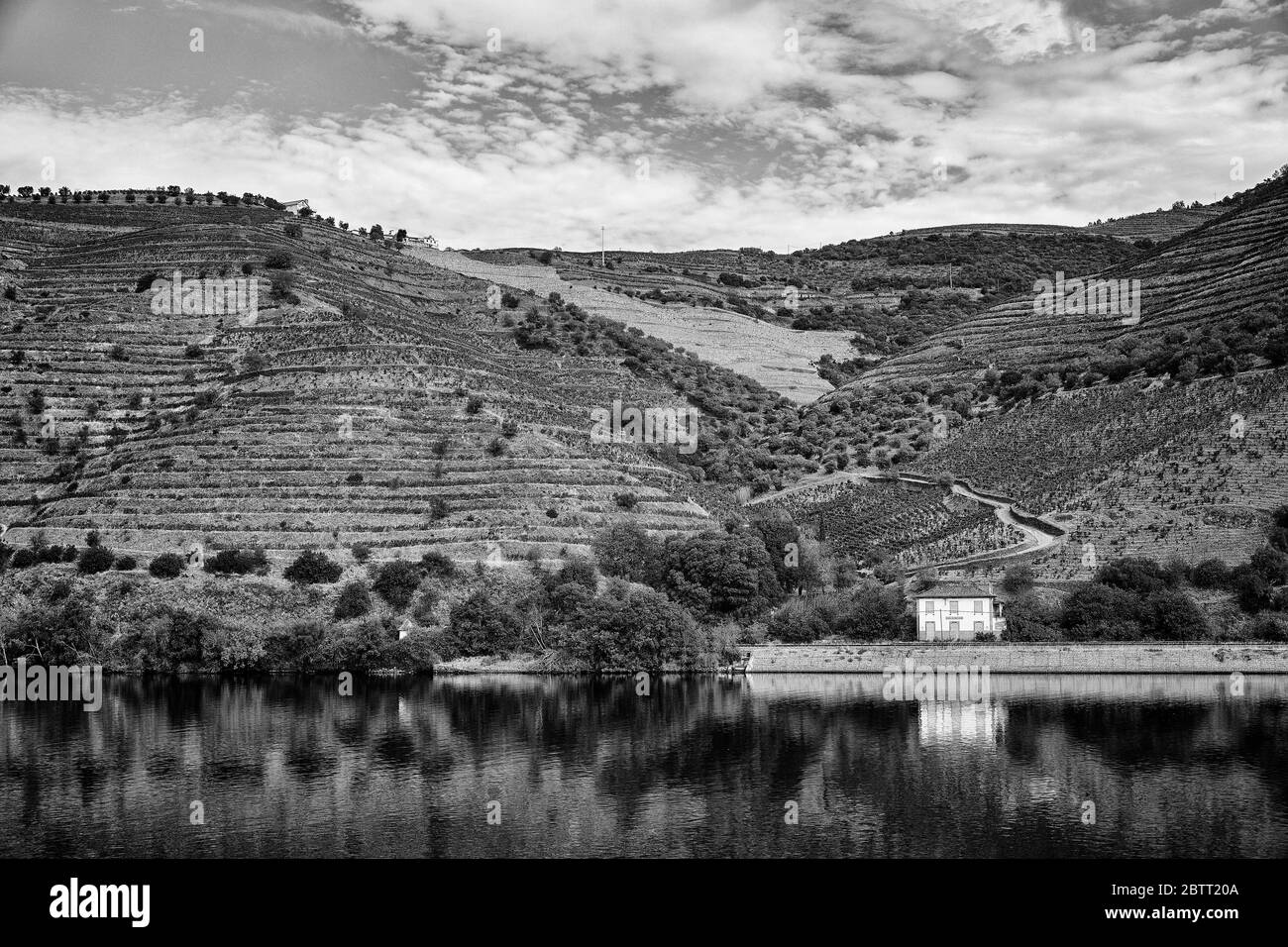 La vallée du Douro, dans le nord du Portugal, est le berceau de Port Wine. La région est connue pour ses vignes, ses amandiers et ses oliviers. Banque D'Images