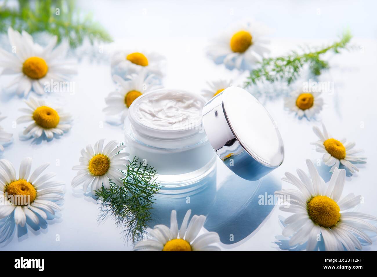 Crème cosmétique aux herbes dans un contenant ouvert avec fleurs de camomille fraîches sur un fond bleu clair de verre. Hydratant naturel organique et nettoyage de science-fiction Banque D'Images