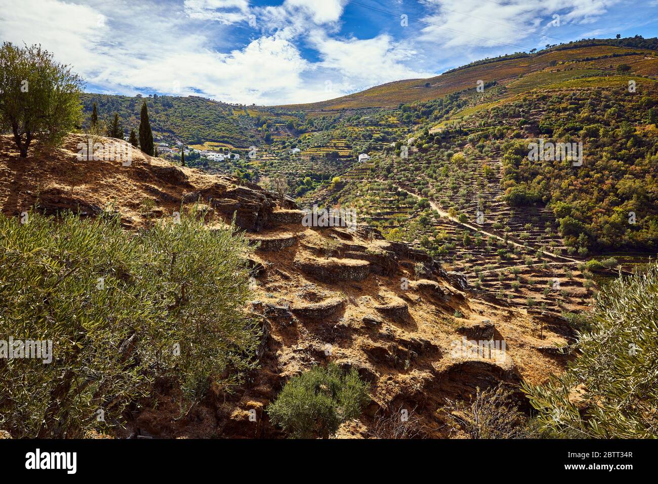 La vallée du Douro, dans le nord du Portugal, est le berceau de Port Wine. La région est connue pour ses vignes, ses amandiers et ses oliviers. Banque D'Images