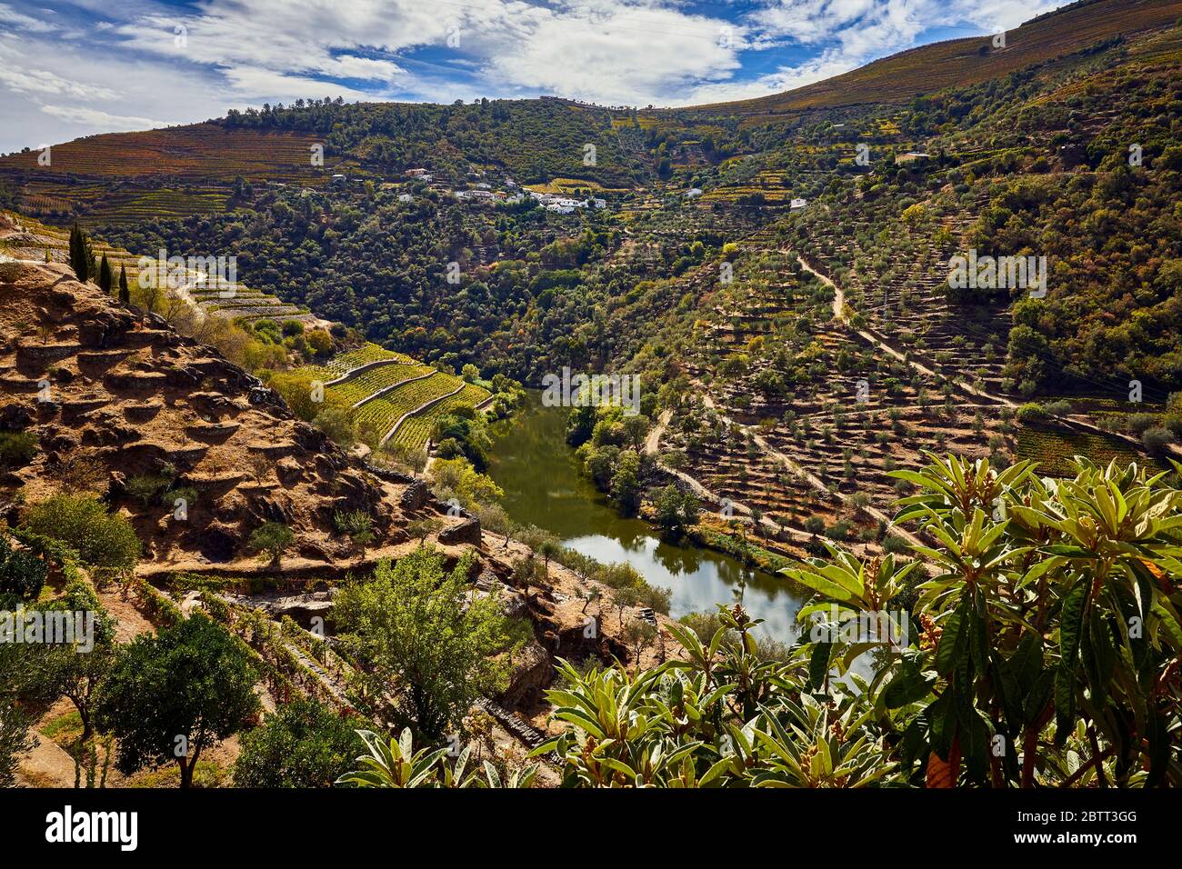 La vallée du Douro, dans le nord du Portugal, est le berceau de Port Wine. La région est connue pour ses vignes, ses amandiers et ses oliviers. Banque D'Images