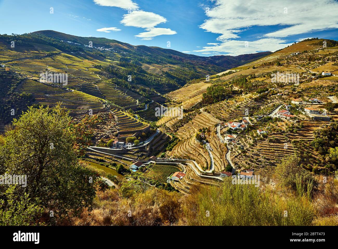 La vallée du Douro, dans le nord du Portugal, est le berceau de Port Wine. La région est connue pour ses vignes, ses amandiers et ses oliviers. Banque D'Images
