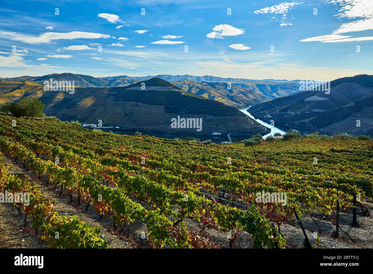 La vallée du Douro, dans le nord du Portugal, est le berceau de Port Wine. La région est connue pour ses vignes, ses amandiers et ses oliviers. Banque D'Images