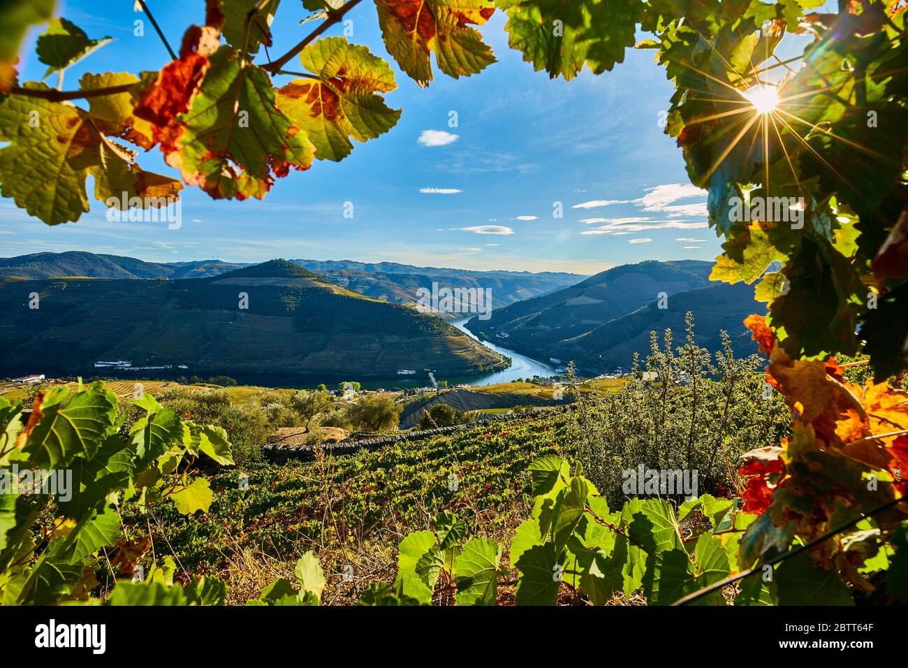 La vallée du Douro, dans le nord du Portugal, est le berceau de Port Wine. La région est connue pour ses vignes, ses amandiers et ses oliviers. Banque D'Images