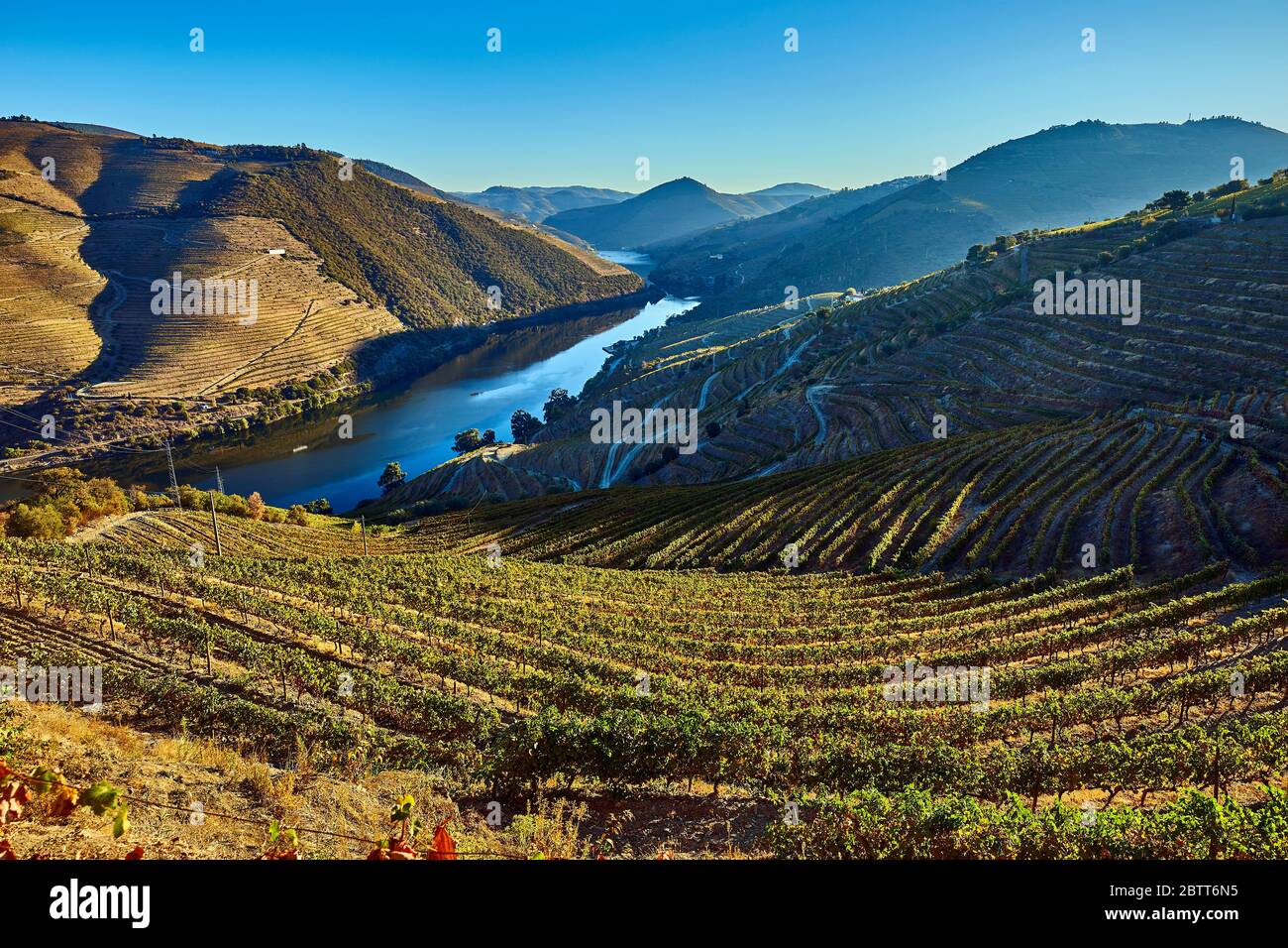 La vallée du Douro, dans le nord du Portugal, est le berceau de Port Wine. La région est connue pour ses vignes, ses amandiers et ses oliviers. Banque D'Images