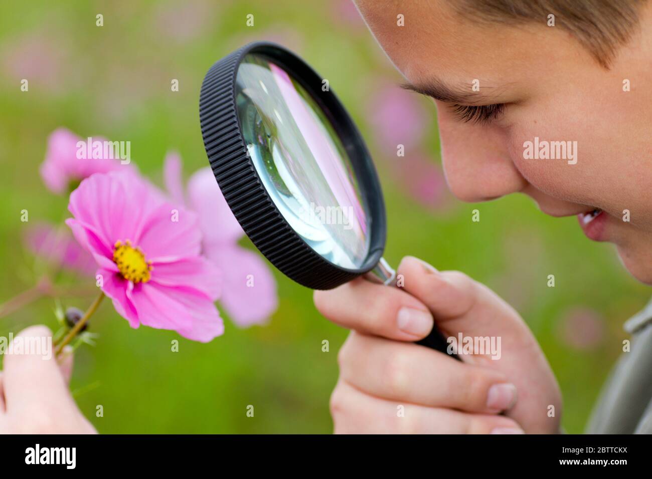 Junge betrachtet Blume durch eine Lupe, MR: Oui Banque D'Images