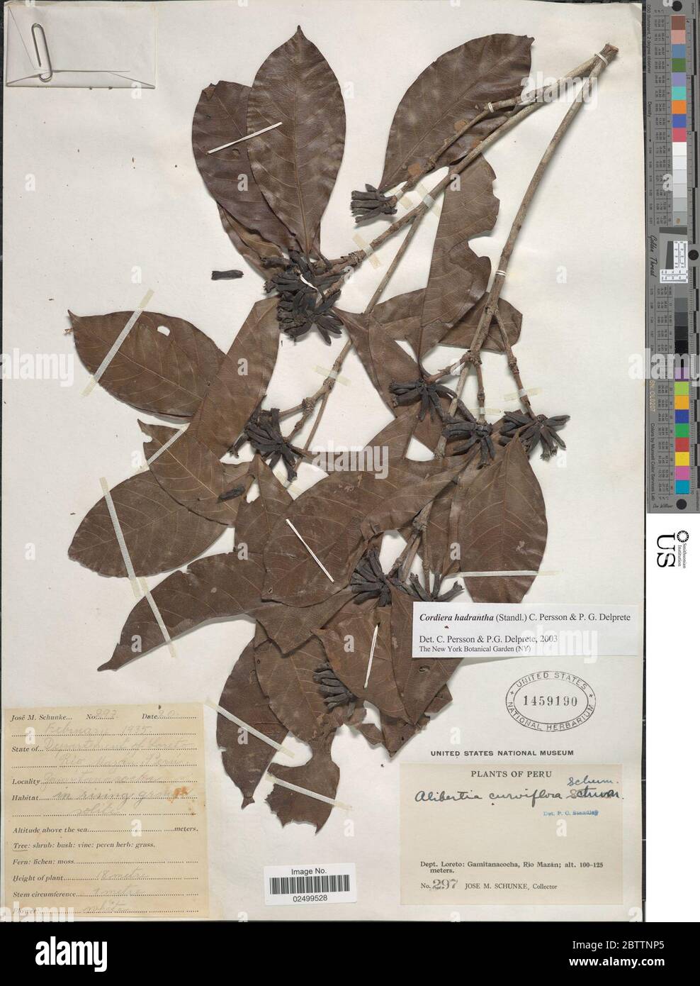 nom non publié. Banque D'Images