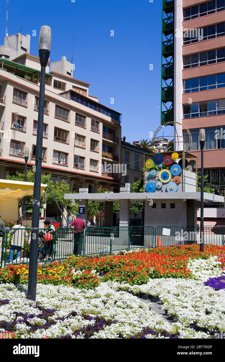 Marché aux fleurs du dimanche à Anibal Pinto Plaza, Valparaiso, Chili, Amérique du Sud Banque D'Images