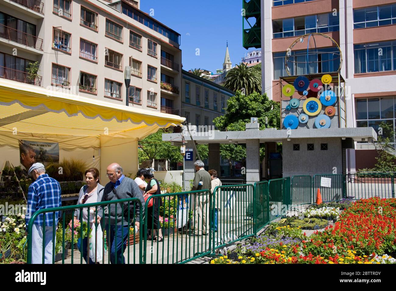 Marché aux fleurs du dimanche à Anibal Pinto Plaza, Valparaiso, Chili, Amérique du Sud Banque D'Images