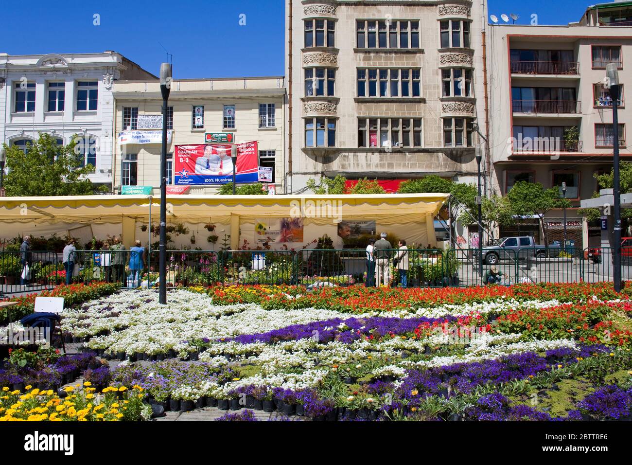 Marché aux fleurs du dimanche à Anibal Pinto Plaza, Valparaiso, Chili, Amérique du Sud Banque D'Images