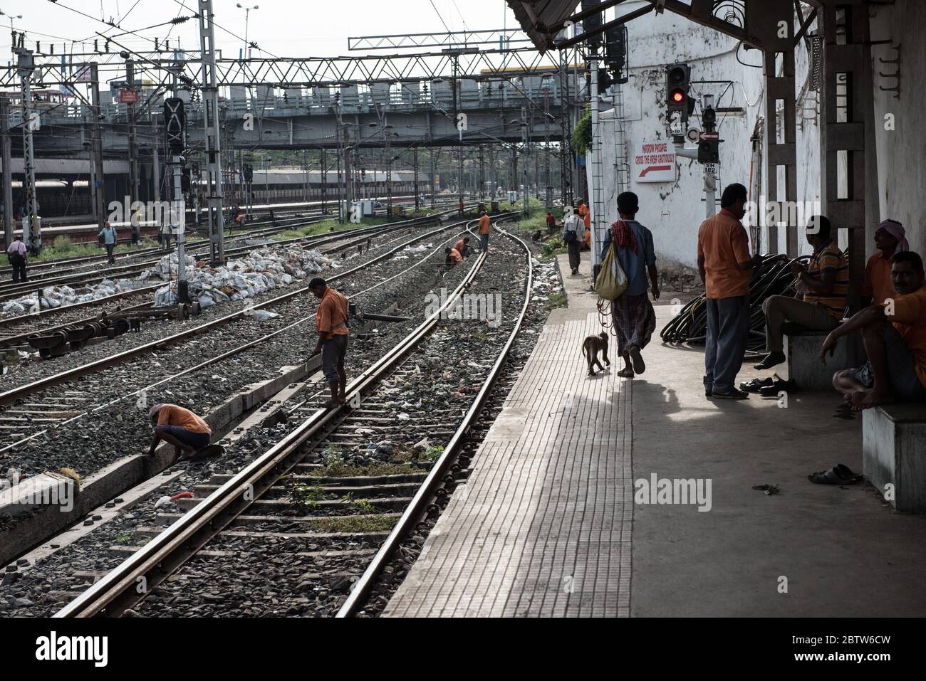 Homme avec Macaque Monkey à la gare de Howrah Junction, Kolkata, Inde. Banque D'Images