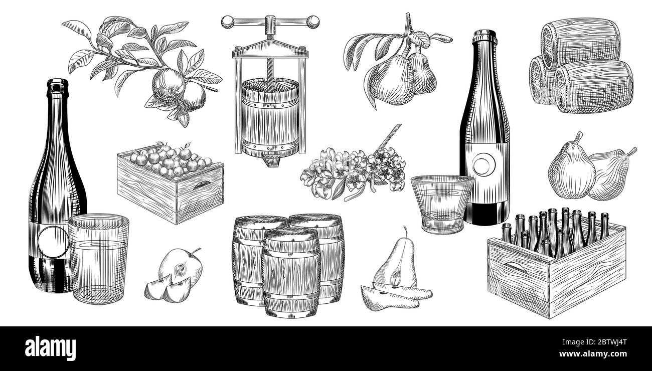 Ensemble de cidre de pomme et de poire. Récoltez les poires, les pommes, la presse, le fût, le verre et la bouteille de cidre. Collection de bières artisanales aux fruits dessinées à la main. Gravure vintage Banque D'Images