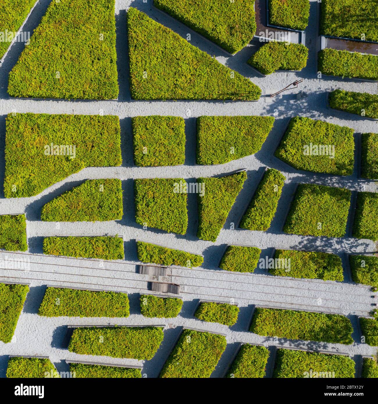 Labyrinthe vert dans le jardin labyrinthe de symétrie géométrique vue aérienne de drone Banque D'Images