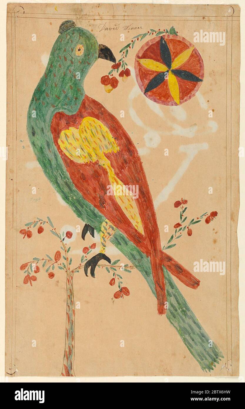 Fraktur oiseau et fleurs. Recherche en ProgressParrot vert avec ailes rouges et jaunes et pieds noirs, sur une branche avec baies rouges. En haut à droite, une fleur rouge, noire et jaune et une autre branche. Nom ci-dessus et initiales sur le verso. Banque D'Images