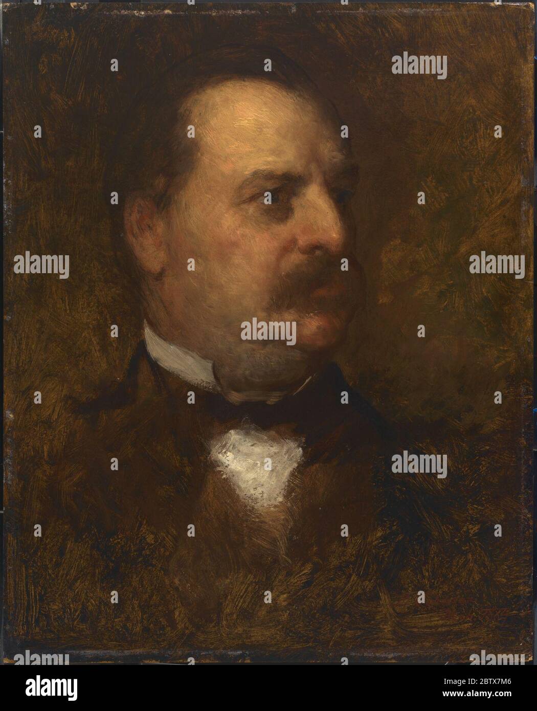 Grover Cleveland. L’élection de Grover Cleveland en 1884 en a fait le premier président démocrate depuis la guerre civile. Ses 414 vétos au cours de son premier mandat ont établi un record et l'ont établi comme un président fort à une époque dominée par ailleurs par le Congrès. Banque D'Images