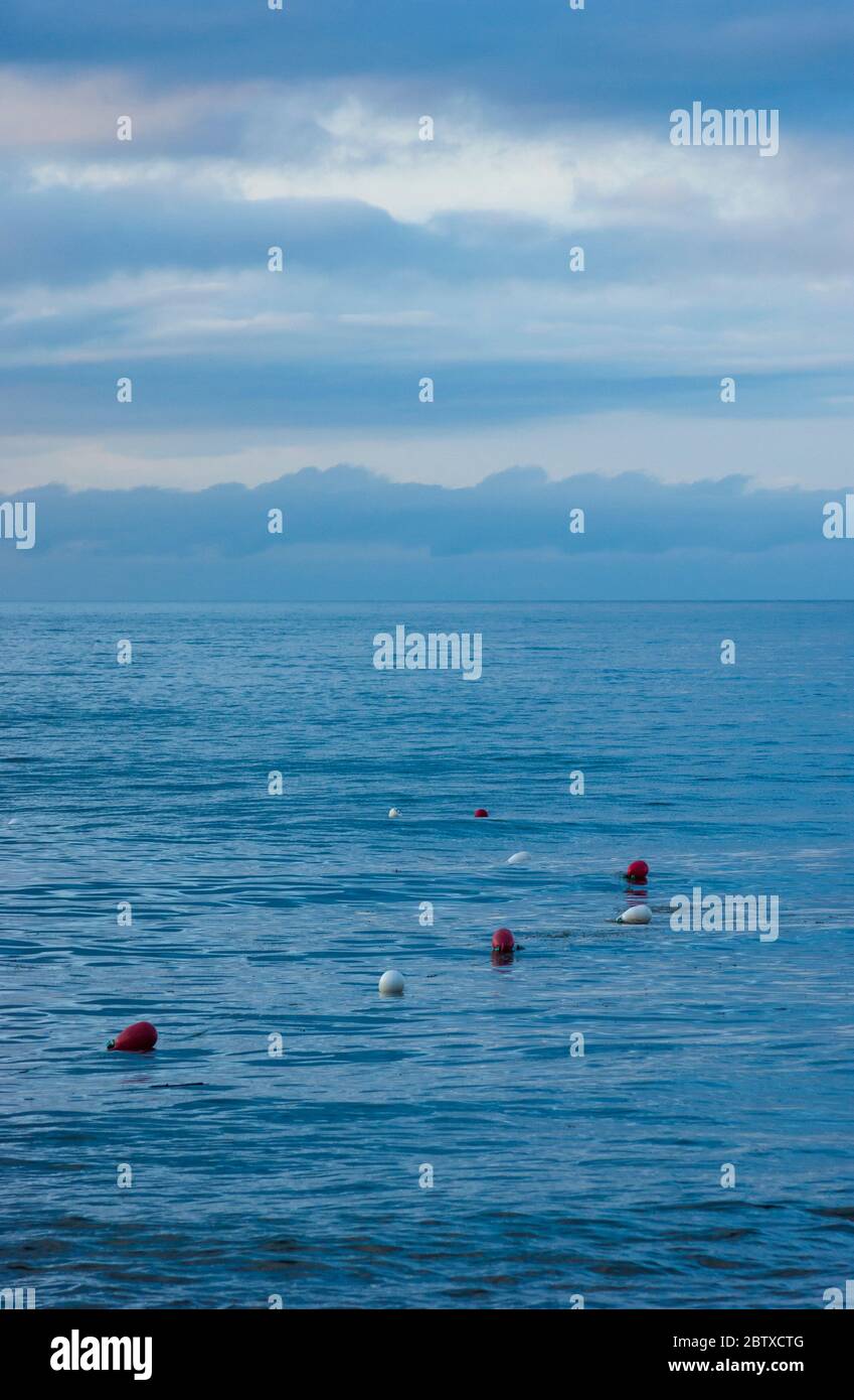 Bouées de natation marquant le périmètre d'une zone de baignade surveillée. Eaux ondulées au crépuscule. Cavendish Beach, parc national du Canada de l'Île-du-Prince-Édouard Banque D'Images