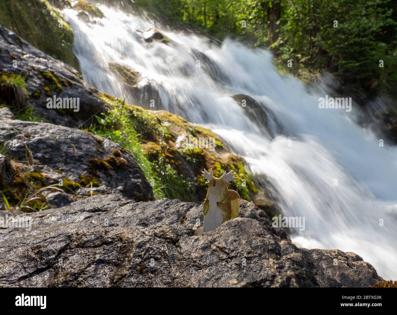 Tukoni aux cascades de Giessbach, Suisse Banque D'Images