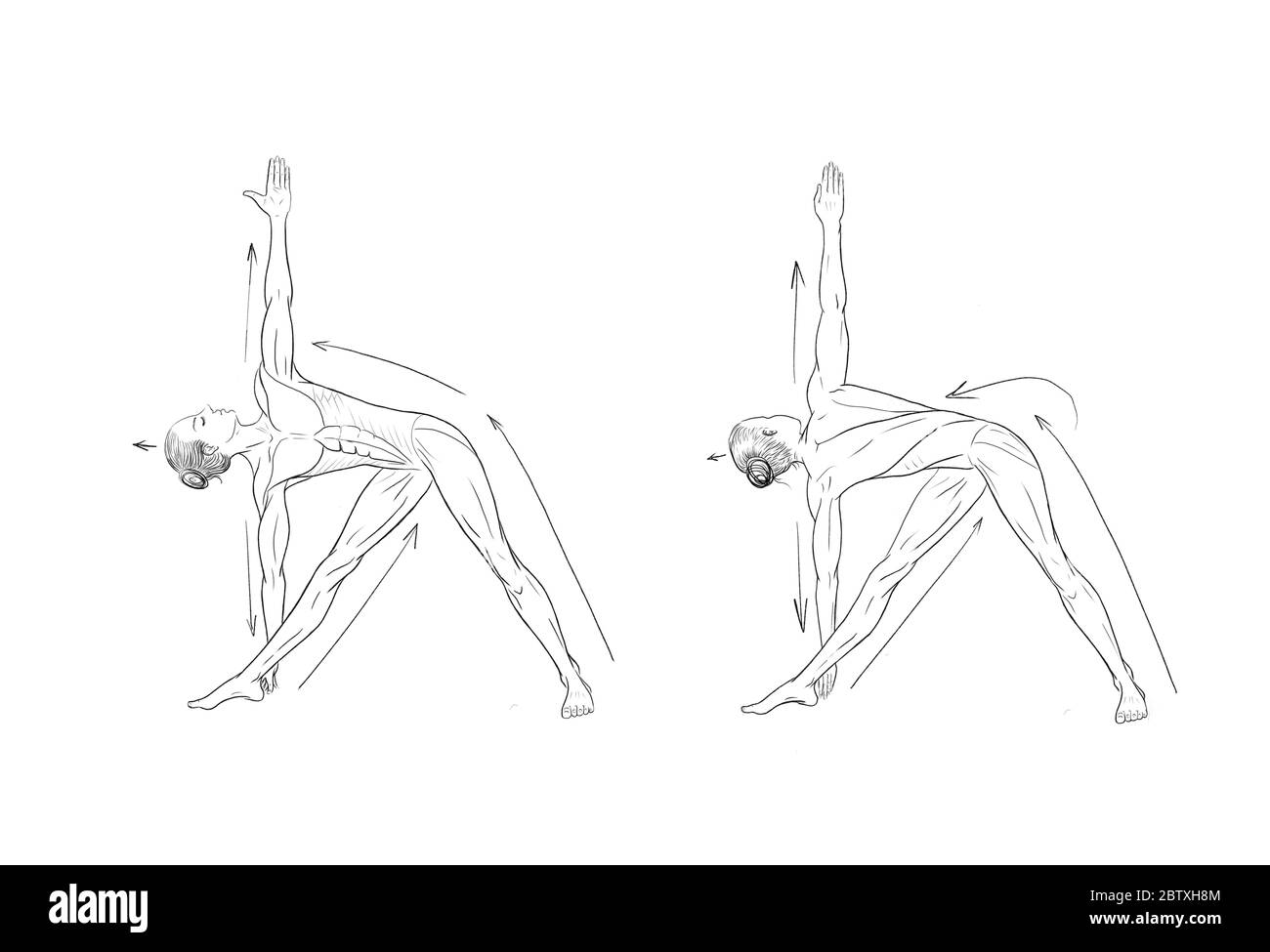 Illustration médicale des asanas de yoga Banque D'Images