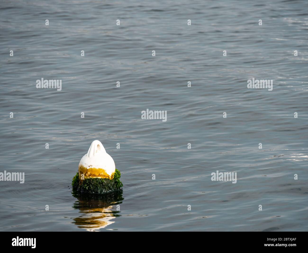 Une bouée blanche sur une surface de mer calme à la lumière du jour. Banque D'Images