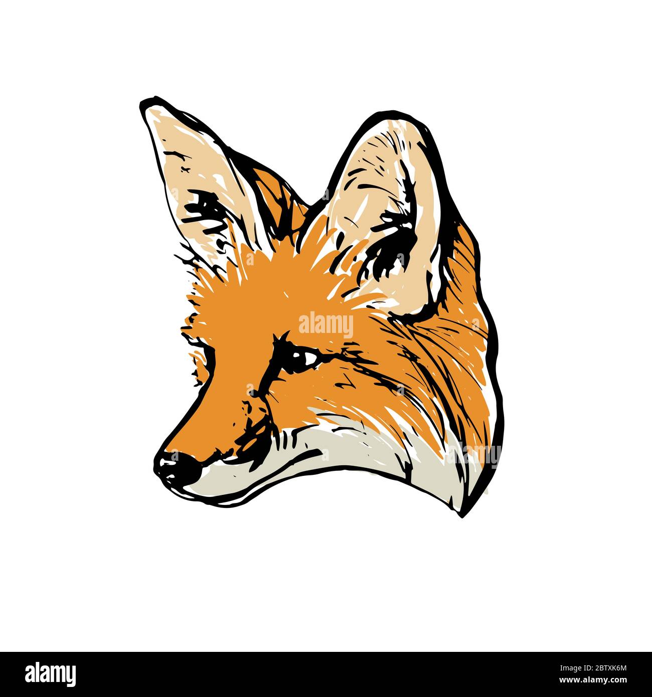 Tete De Renard Dessin