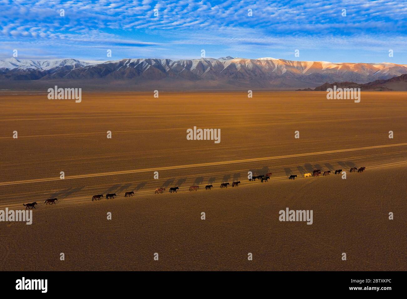 Montagnes Sutai, entre la province de Gobi-Altai et la province de Khovd, Chowd-Aimag, Mongolie Banque D'Images