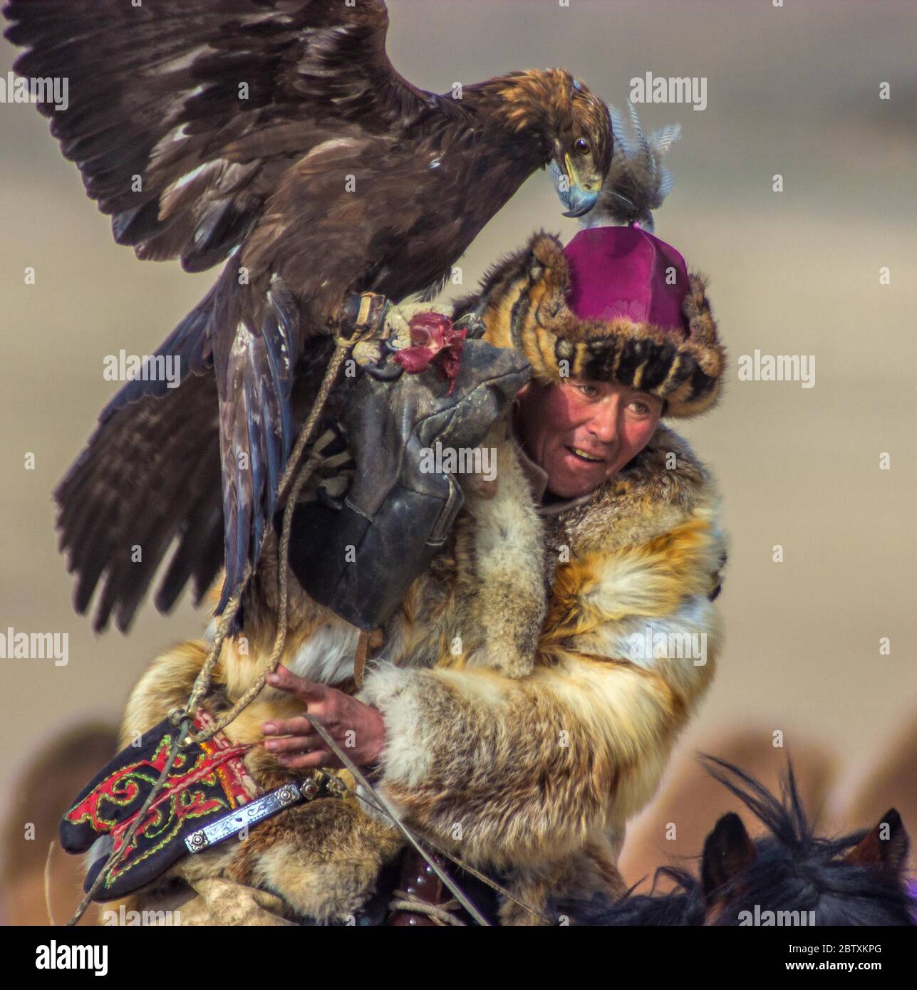 Eagle Hunter, province de Bayan-Olgii, Mongolie Banque D'Images