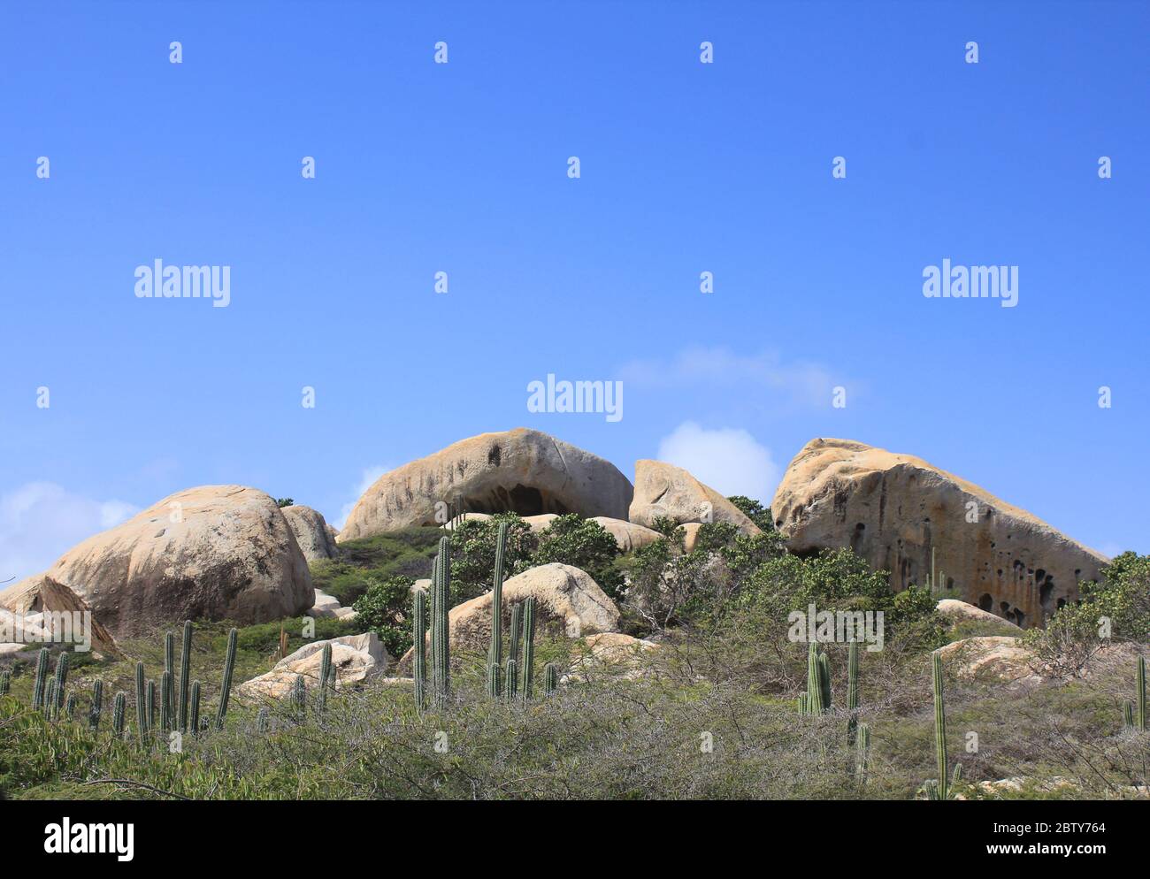 Aruba paysage sec aride. Roches et plantes cactus Banque D'Images