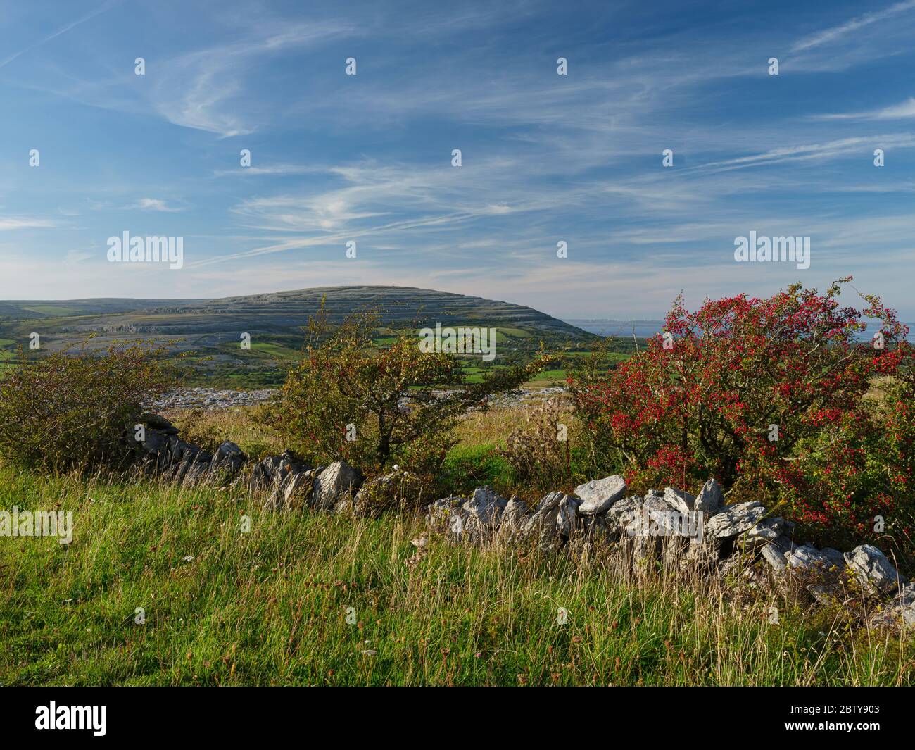 Cappanawalla, le Burren, Comté de Clare, Munster, République d'Irlande, Europe Banque D'Images