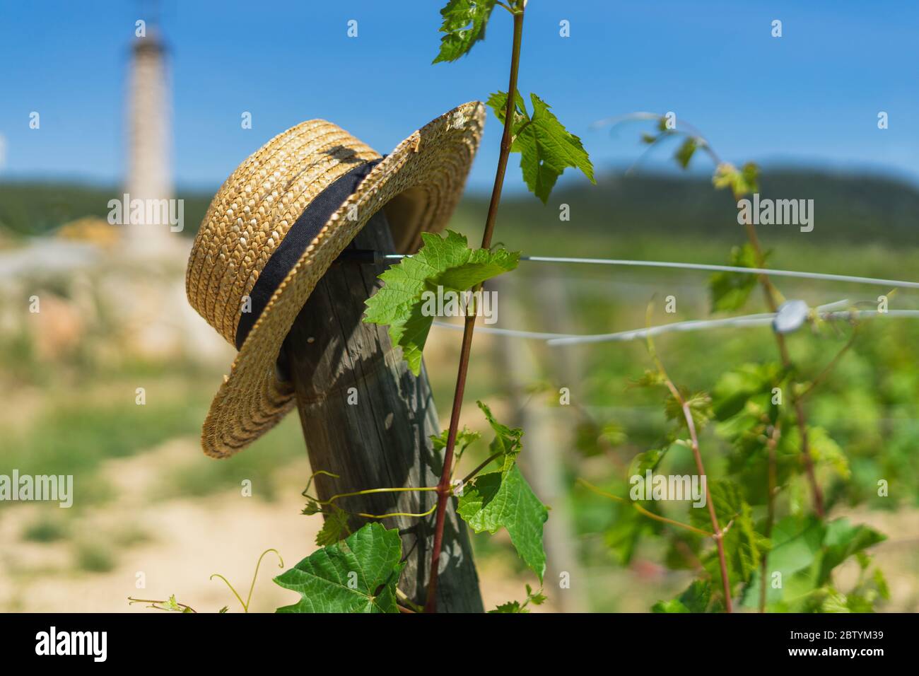 Fermer sur un chapeau de paille sur un accoudoir sur un poteau de vignoble  en plein soleil Photo Stock - Alamy