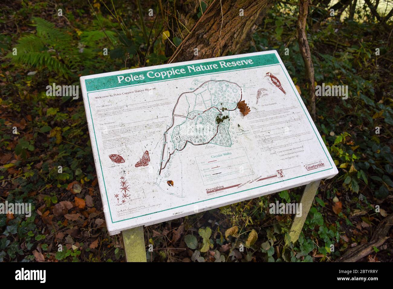 Carte d'information contenant une carte montrant les promenades autour de la réserve naturelle de Poles Coppice près de Pontesbury, Shropshire UK Banque D'Images