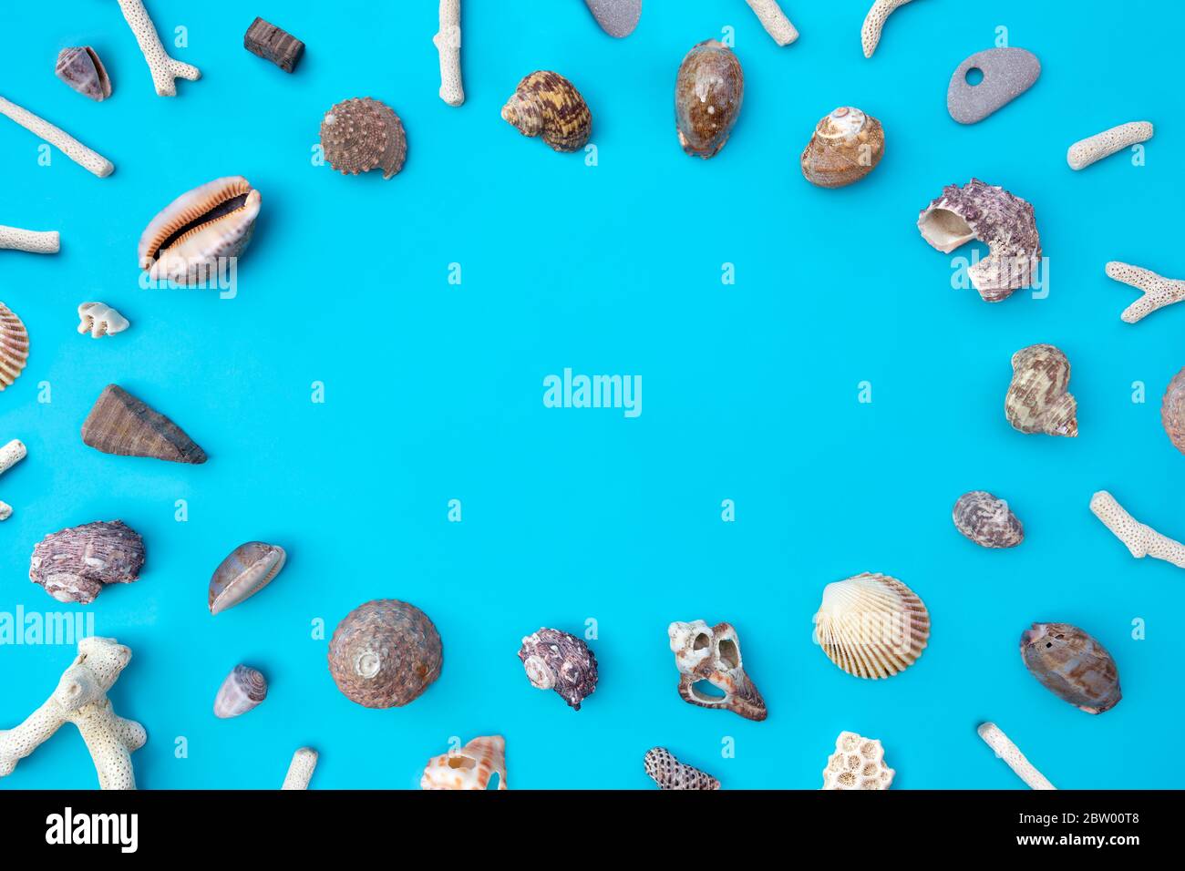 Vue de dessus des coquillages sur fond bleu avec espace pour le texte au centre. Plage, vacances d'été et concept de voyage. Banque D'Images