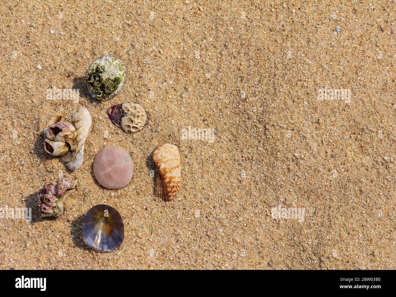 Objets de mer sur sable - arrière-plan de vacances 1 Banque D'Images