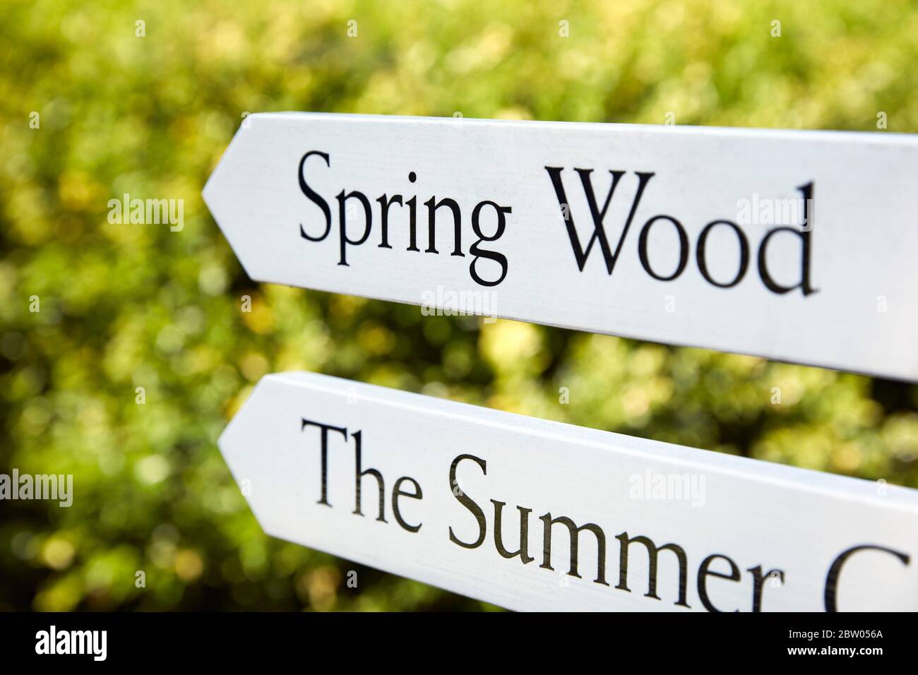 The Savill Garden, Windsor Great Park, Surrey, Angleterre Banque D'Images