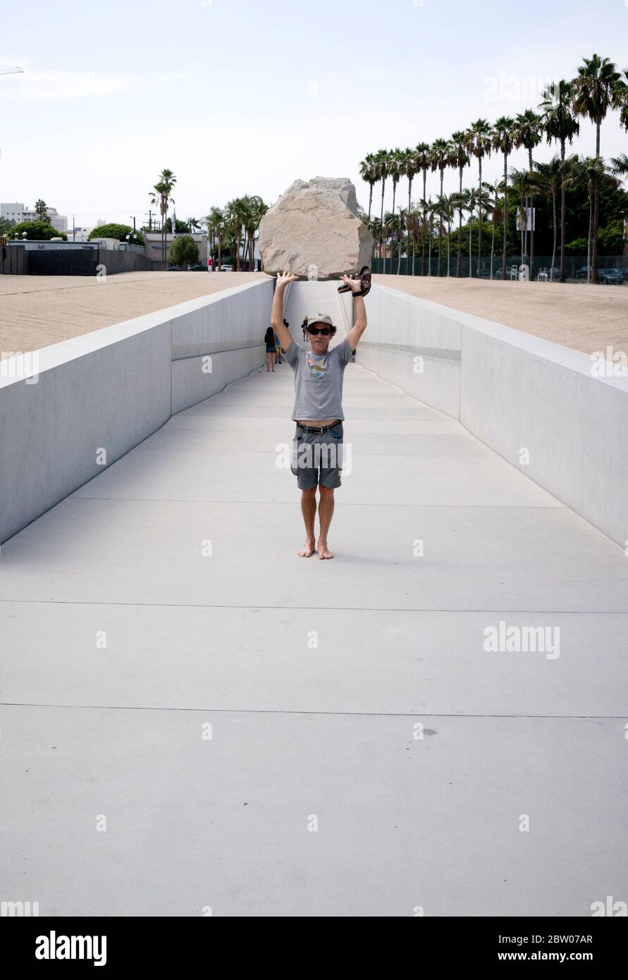 Pommes de gala bio sur arbre. Choisissez votre propre ferme de pommes dans le New Jersey, États-Unis Banque D'Images