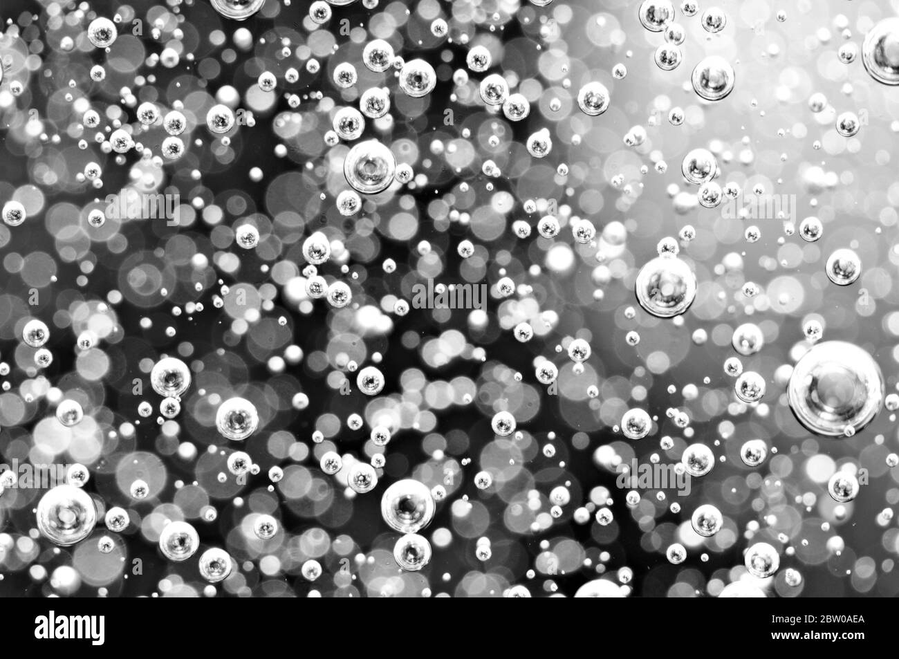 Arrière-plan noir et blanc flou. Macro bulles d'oxygène dans l'eau. Concept tel que l'écologie Banque D'Images