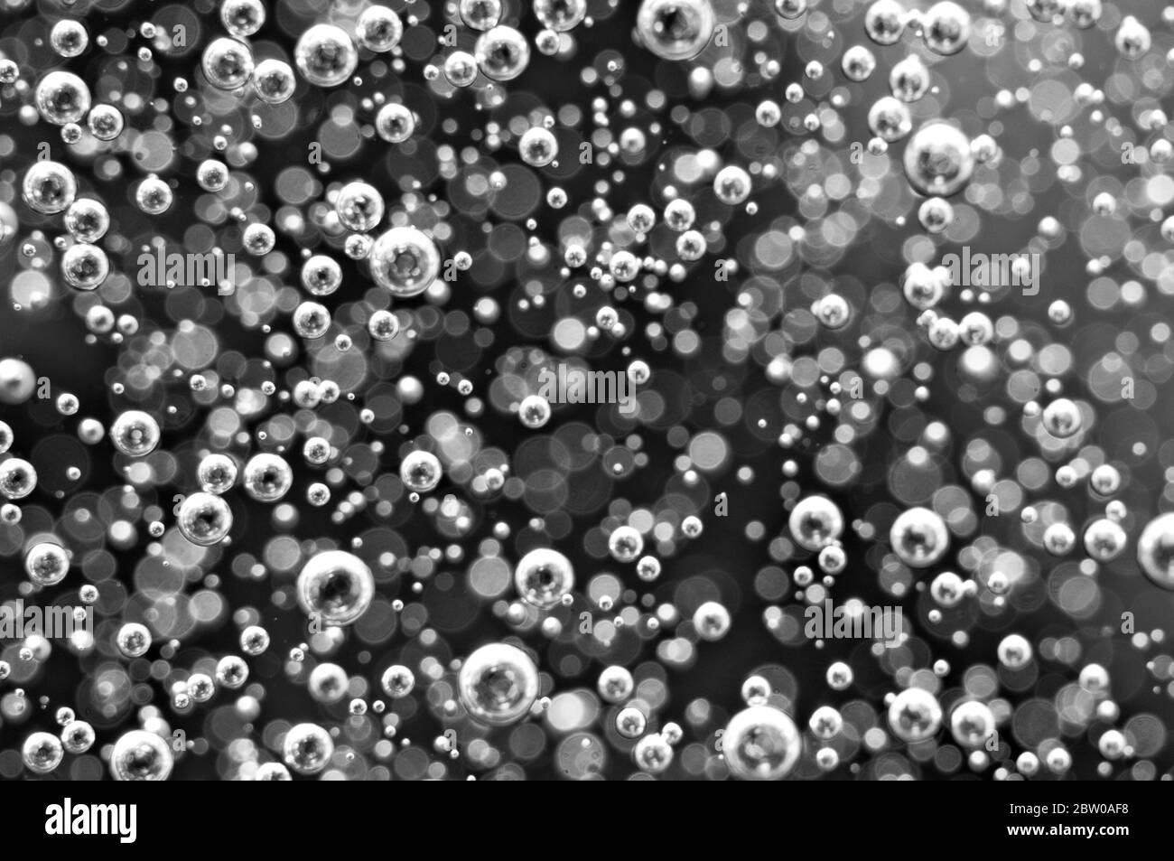 Arrière-plan noir et blanc flou. Macro bulles d'oxygène dans l'eau. Concept tel que l'écologie Banque D'Images