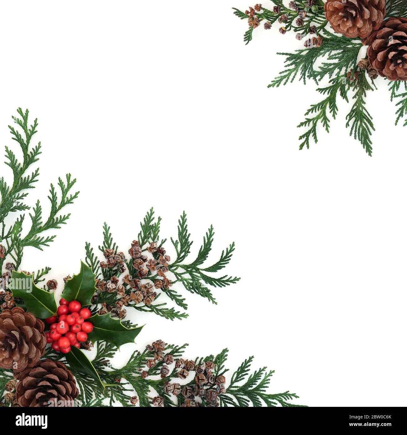 Bordure florale d'hiver naturelle avec houx, cyprès de cèdre et cônes de pin sur fond blanc. Verdure traditionnelle pour Noël et nouvel an. Banque D'Images
