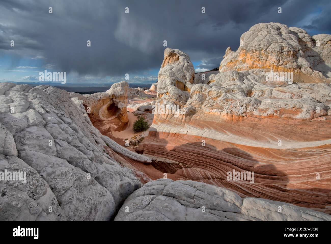 White Pocket, monument national Vermillion Cliffs Banque D'Images