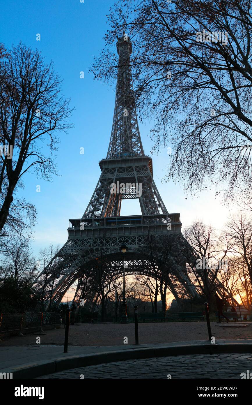 La Tour Eiffel au coucher du soleil entre les arbres Banque D'Images