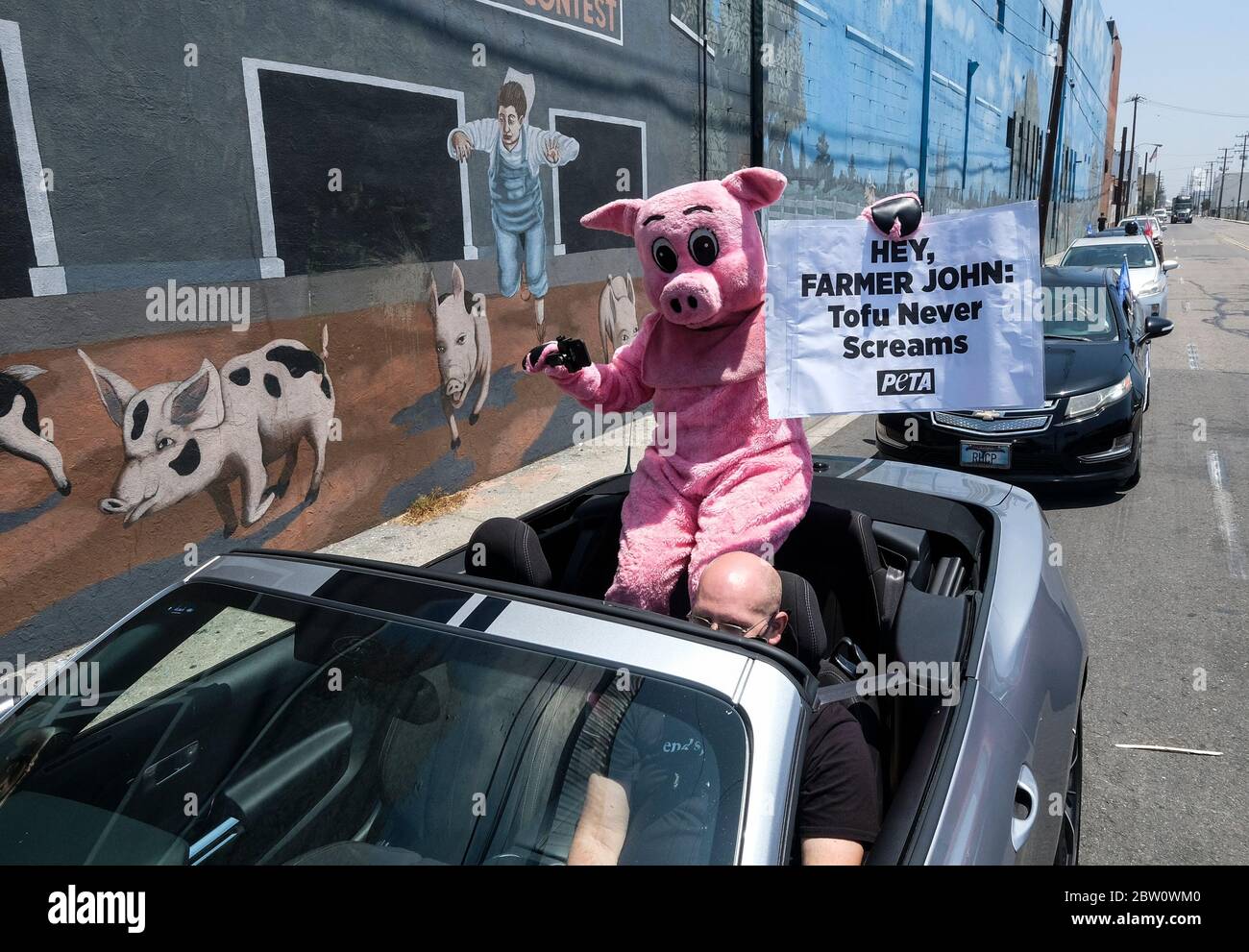 Los Angeles, Californie, États-Unis. 28 mai 2020. Un membre du peuple pour le traitement éthique des animaux (PETA) porte un costume de porc lors d'une manifestation de conduite devant l'abattoir de l'agriculteur John jeudi. Les manifestants demandent la fermeture de l'abattoir de porcs John Farmer appartenant à Smithfield, en raison de 153 travailleurs qui ont été testés positifs pour le COVID-19. Crédit : Ringo Chiu/ZUMA Wire/Alay Live News Banque D'Images
