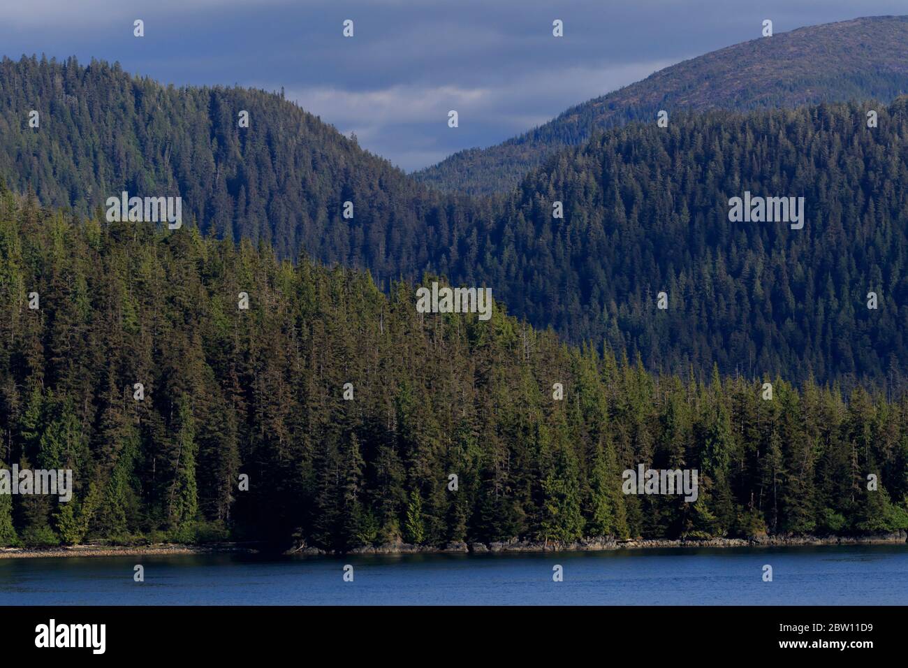 Île Kuiu, Frederick Sound, sud-est de l'Alaska, États-Unis Banque D'Images