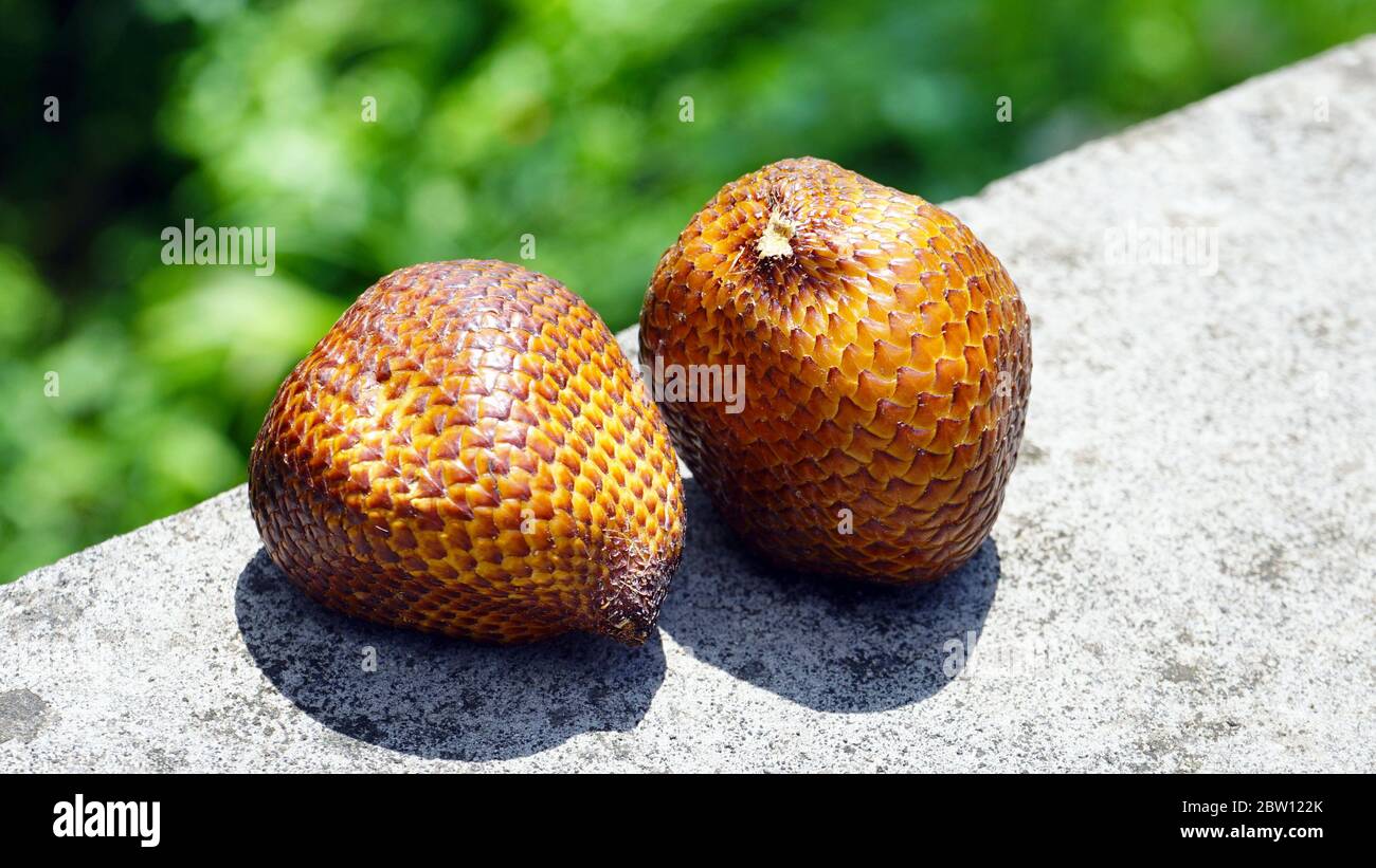 Gros plan sur le fruit du serpent sur la table Banque D'Images