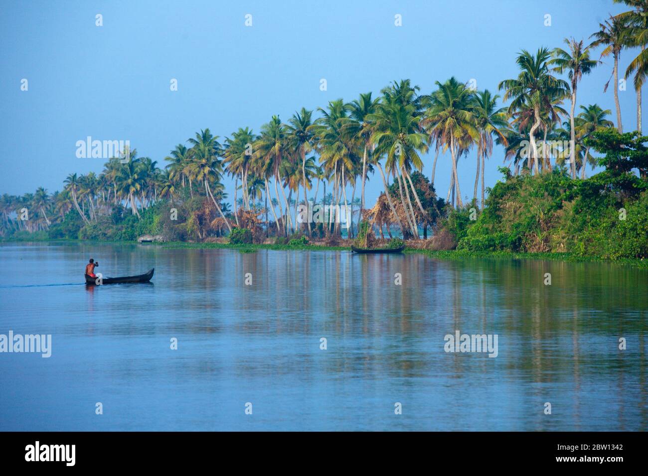 Alappuzha ou Alleppey Backwaters, Kerala - un homme ramer un petit bateau Banque D'Images