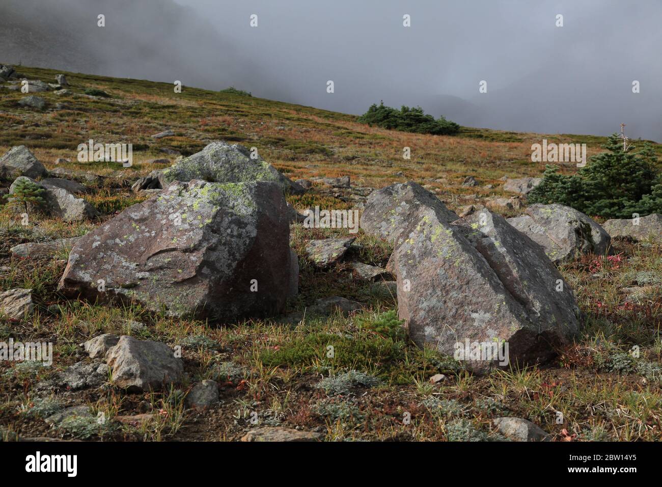 Rochers le long de la Wonderland Trail Banque D'Images