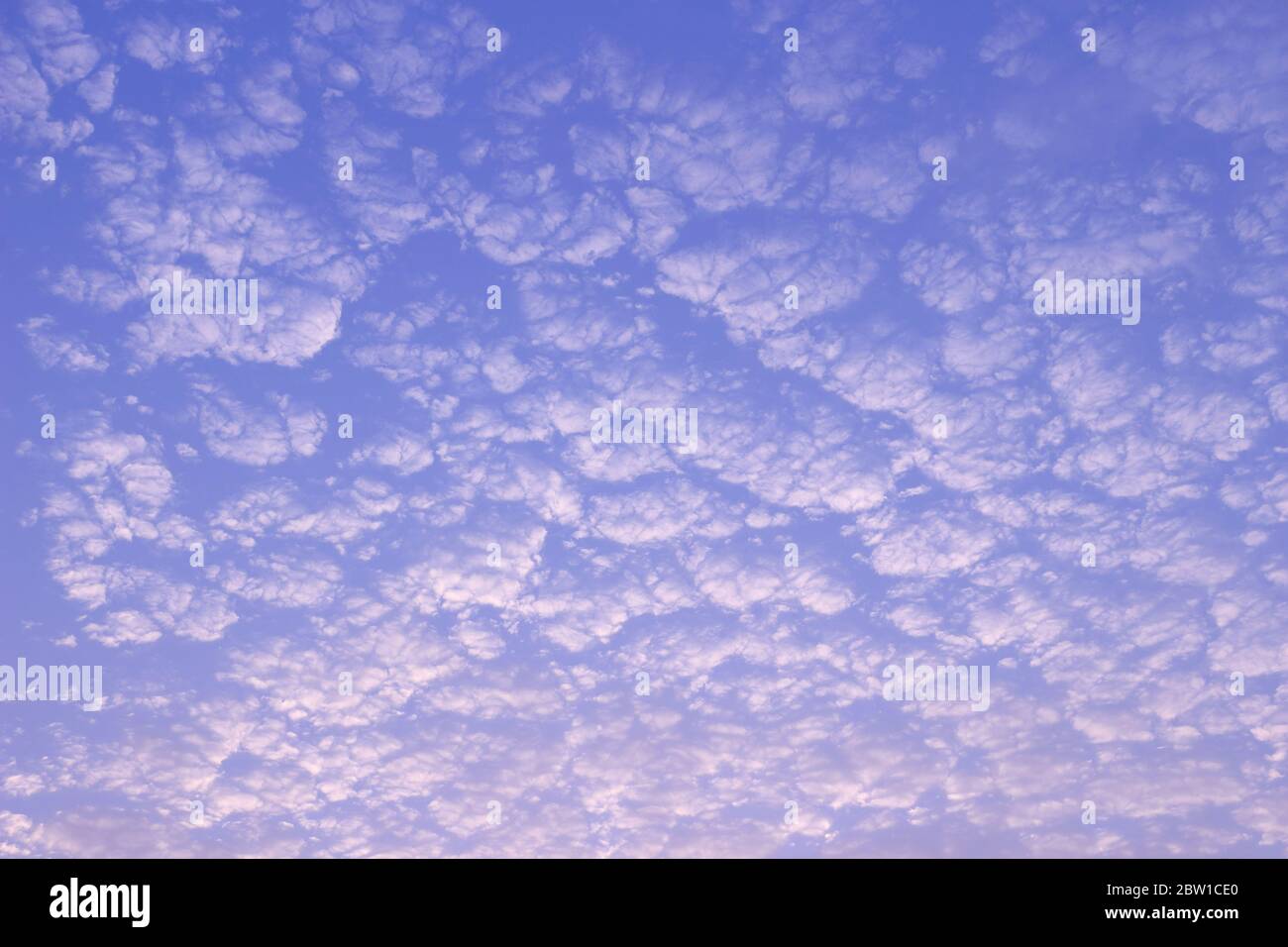 Les nuages gris et blancs ressemblent à de la laine de mouton ou à des vagues. Banque D'Images