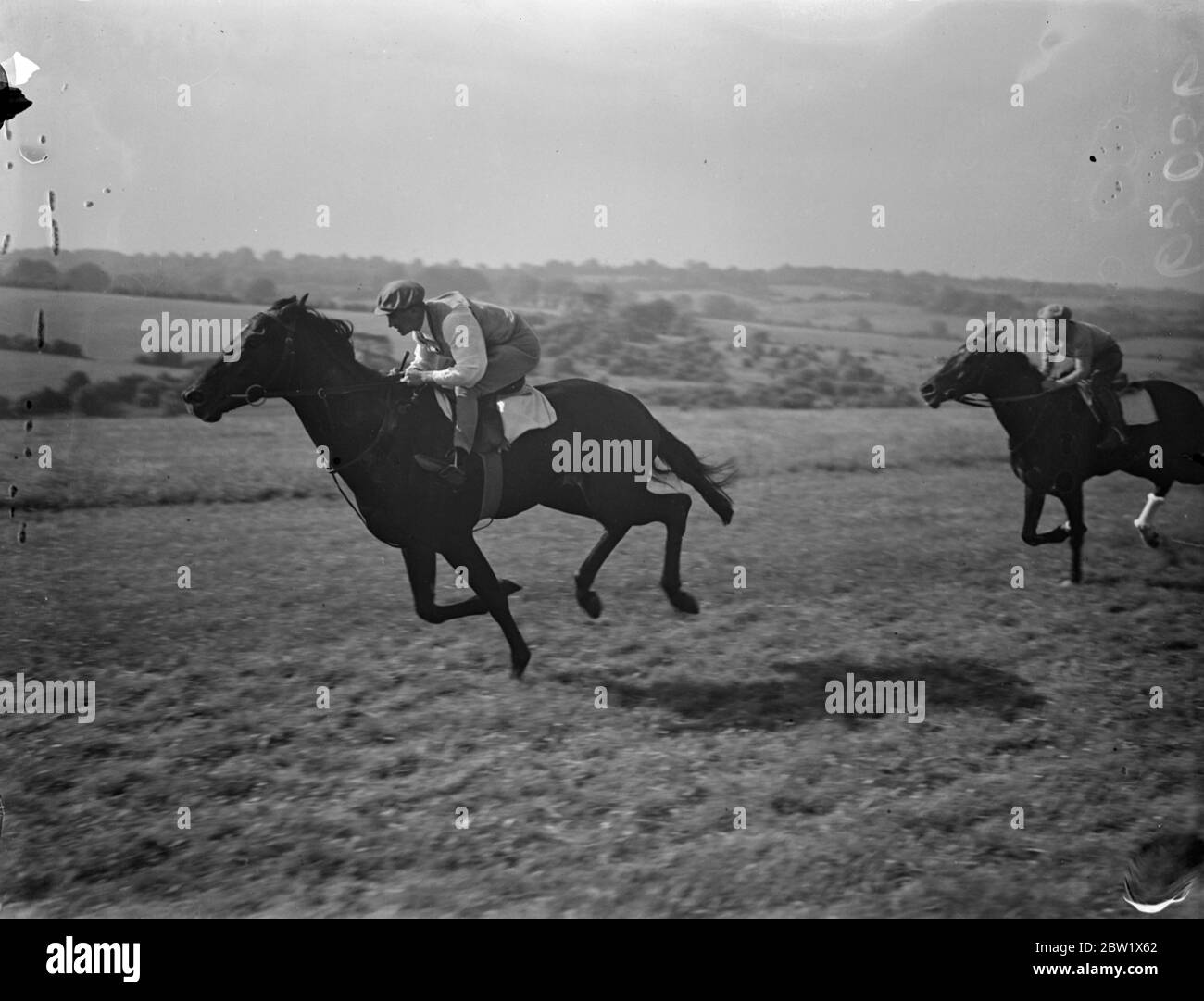 Le candidat de Derby a galop sur Epsom Downs. Scralet Plume, propriété de M. Robin McAlpine, faisait partie des candidats du Derby qui ont participé à un galop sur les Downs à Epsom en préparation de la grande course de mercredi. Le Plume de écarlate est formé à Epsom par V Smyth. Spectacles de photos, Scarlet Plume galopant sur les Downs à Epsom. 31 mai 1937 Banque D'Images