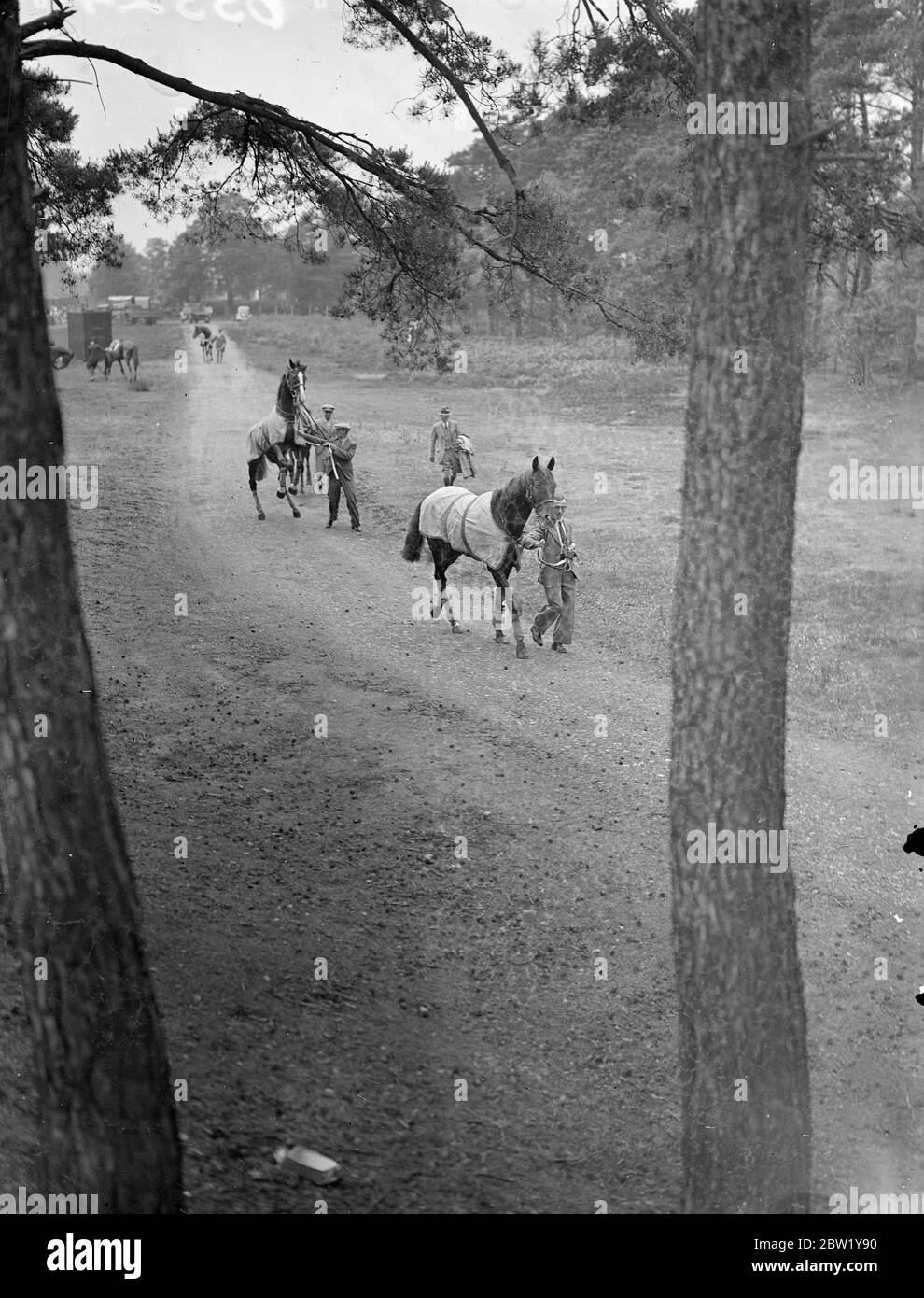 Il se déva de son surplus d'énergie ! . Les chevaux arrivent à Ascot. Les chevaux sont arrivés à Ascot pour l'ouverture de la réunion d'Ascot demain (mardi). Spectacles photo, Fearless Fox marchant tranquillement hors de la gare d'ascot est une plus mettleaome rivalités derrière. 14. Juin 1937 Banque D'Images