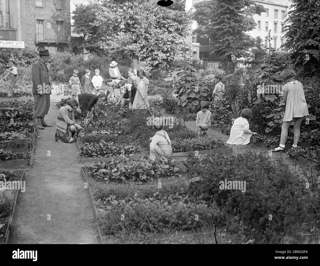 Les écoliers créent la beauté à partir d'un dépotoir. D'un taudis tawdry dépotoir caché dans une rue arrière de Camden Town les écoliers ont créé un joli jardin. La parcelle a été sécurisée pour eux par la London Children's Garden Guild et tout le travail a été fait dans leur temps libre. La Guilde prend en charge de nombreuses pièces du désert dans les quartiers les plus pauvres de Londres et les donne aux enfants pour qu'ils puissent passer leur temps loin des rues à apprendre l'art du jardinage. Des spectacles photo, les écoliers au travail dans le jardin. Ils ont produit à partir du tas de déchets de Camden Town. Banque D'Images